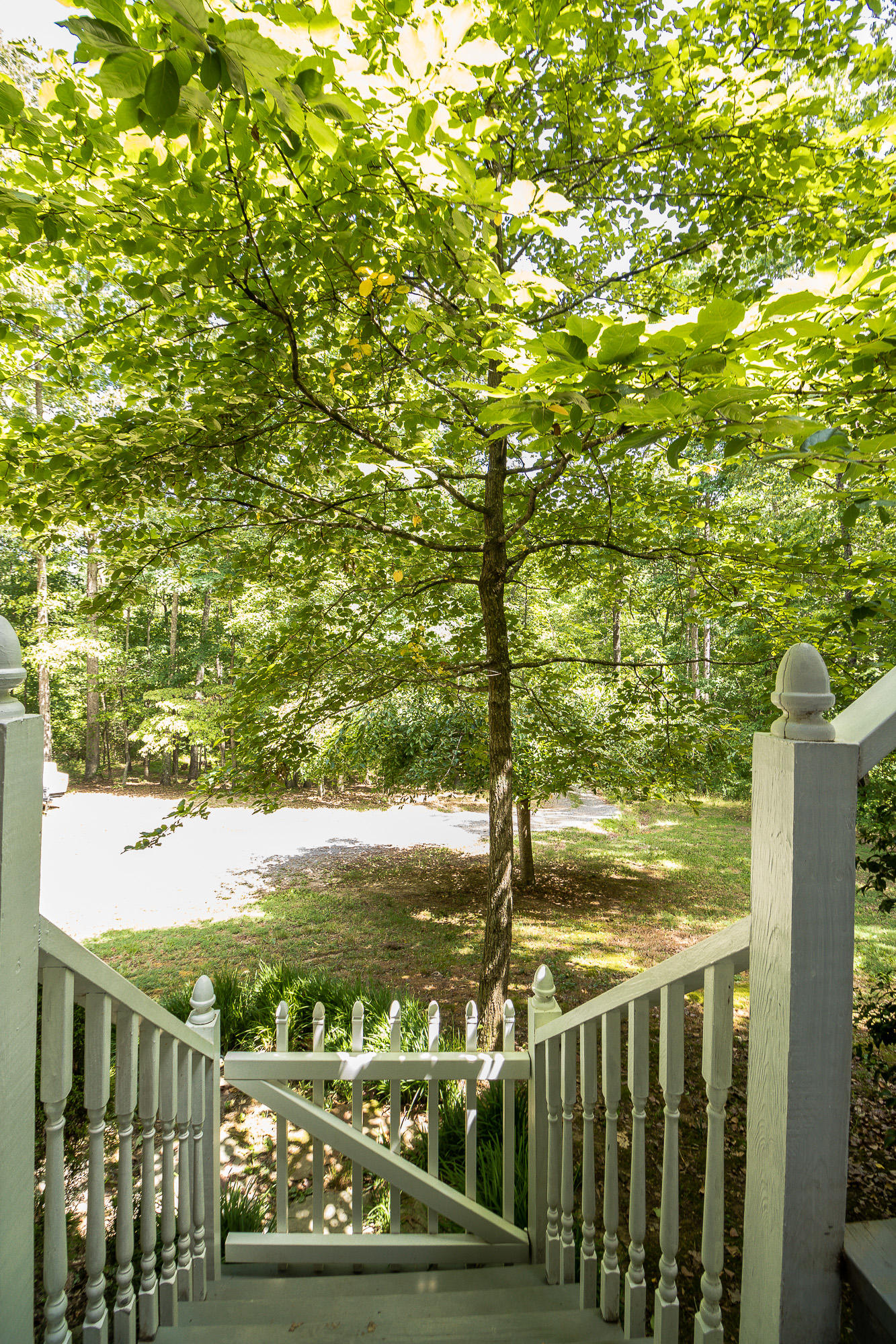 174 Coffman Springs Road LaFayette, GA 30728 - Photo 40 of 47 Front Yard 2