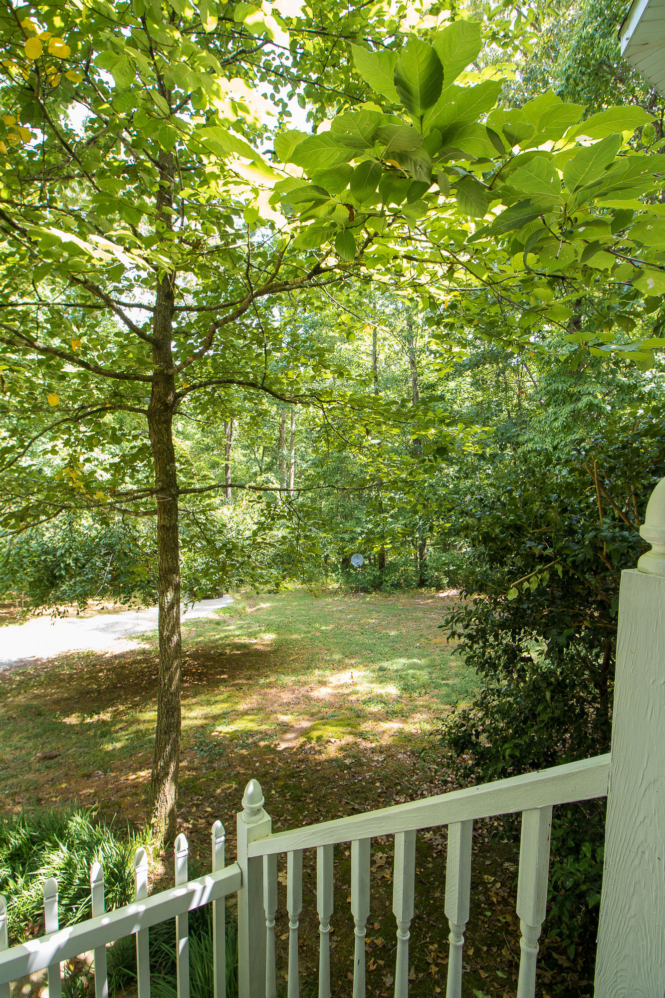 174 Coffman Springs Road LaFayette, GA 30728 - Photo 41 of 47 Front Yard