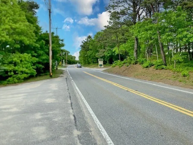 a view of a yard with plants and a trees