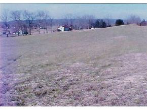 4405 North Mohawk Road Mohawk, TN 37810 - Photo 3 of 3 Photo 3