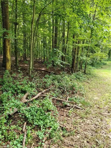 $74,500 | 0 Ararat, Ararat, VA 24053