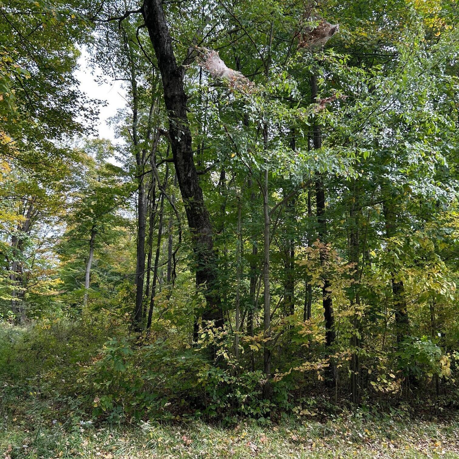 0 Ewart Road Mount Vernon, OH 43050 - Photo 15 of 15 photo15