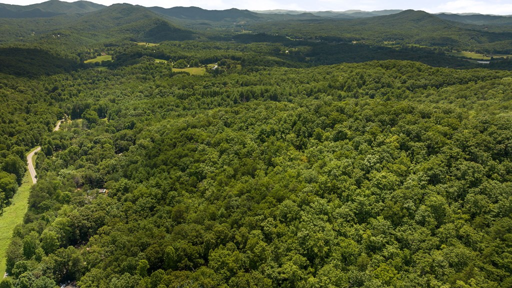 1-ac Green Cove Road Brasstown, NC 28902 - Photo 12 of 19 a view of a lush green hillside and houses