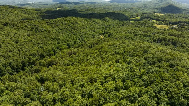 a view of a lush green hillside and a mountain view
