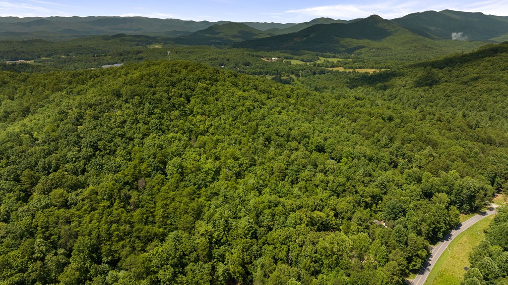 1-ac Green Cove Road Brasstown, NC 28902 - Photo 16 of 19 a view of a lush green forest with trees in the background