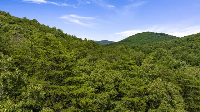 a view of a city with lush green forest