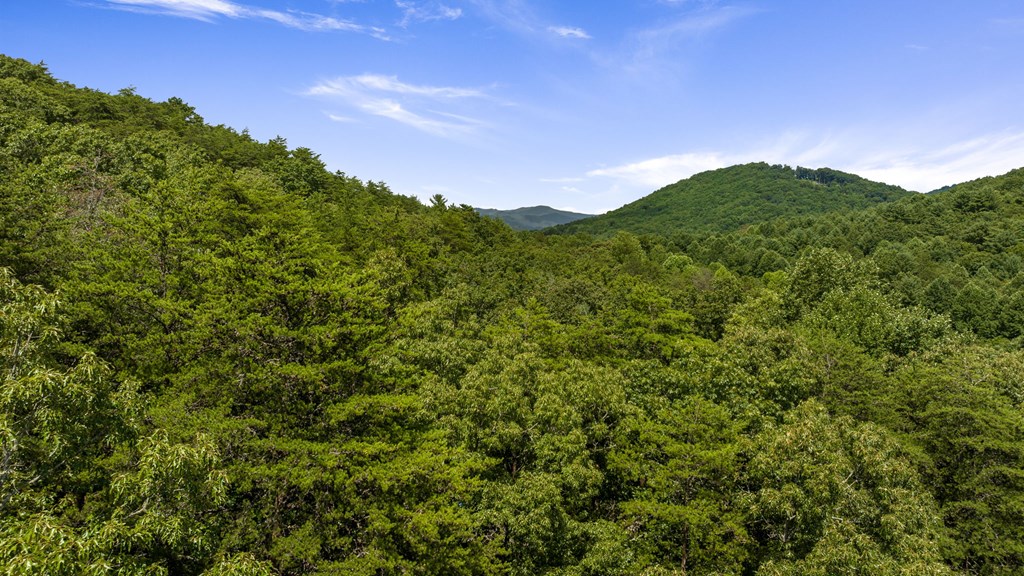 1-ac Green Cove Road Brasstown, NC 28902 - Photo 17 of 19 a view of a field with a tree in the background