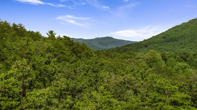 a view of a mountain range with lush green forest