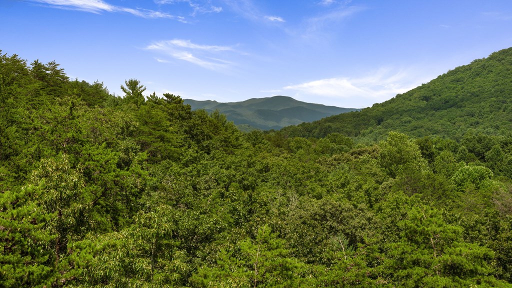 1-ac Green Cove Road Brasstown, NC 28902 - Photo 18 of 19 a view of a city with lush green forest