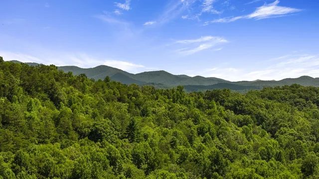 $24,900 | 1-ac Green Cove Road, Brasstown, NC 28902