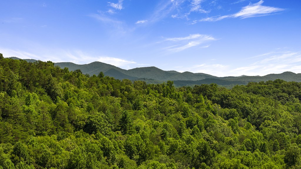 1-ac Green Cove Road Brasstown, NC 28902 - Photo 19 of 19 a view of a mountain range with lush green forest
