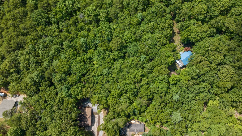 1-ac Green Cove Road Brasstown, NC 28902 - Photo 7 of 19 a view of a house with a tree