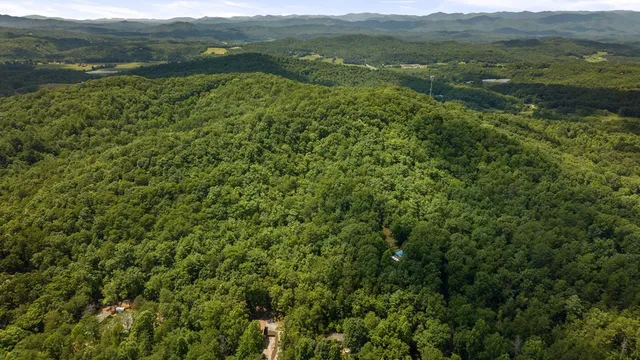 a view of a lush green forest with a houses
