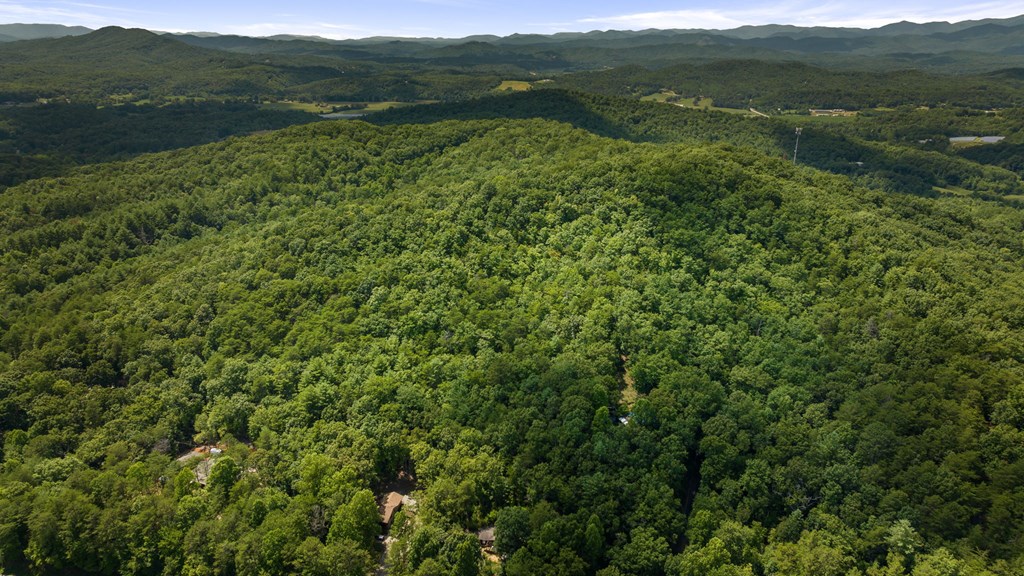 1-ac Green Cove Road Brasstown, NC 28902 - Photo 9 of 19 a view of a lush green forest with a houses