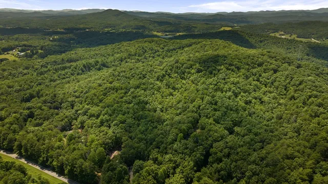 a view of a green field with lots of bushes