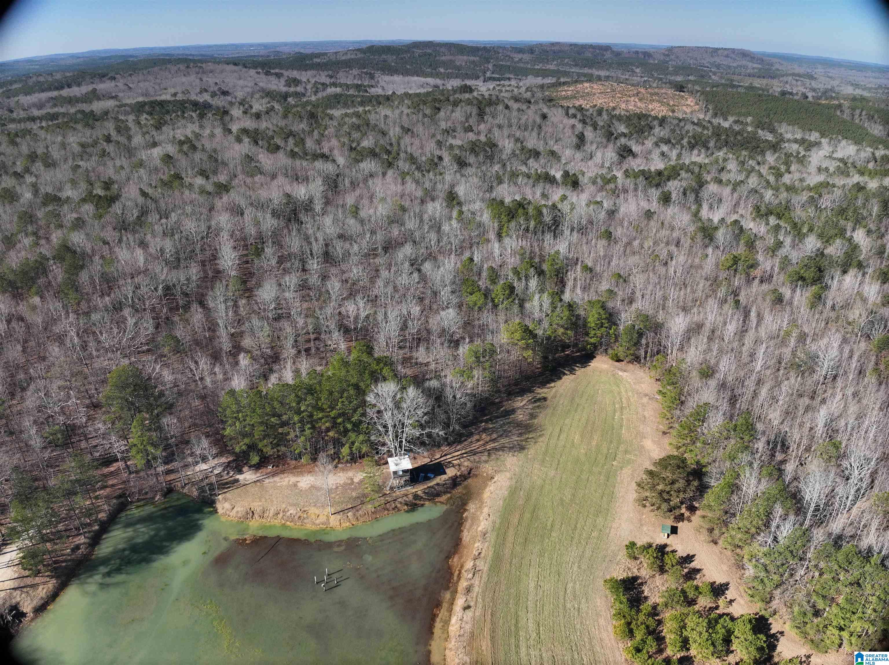 6171 Highway 102, Unit 1 Fayette, AL 35555 - Photo 14 of 68