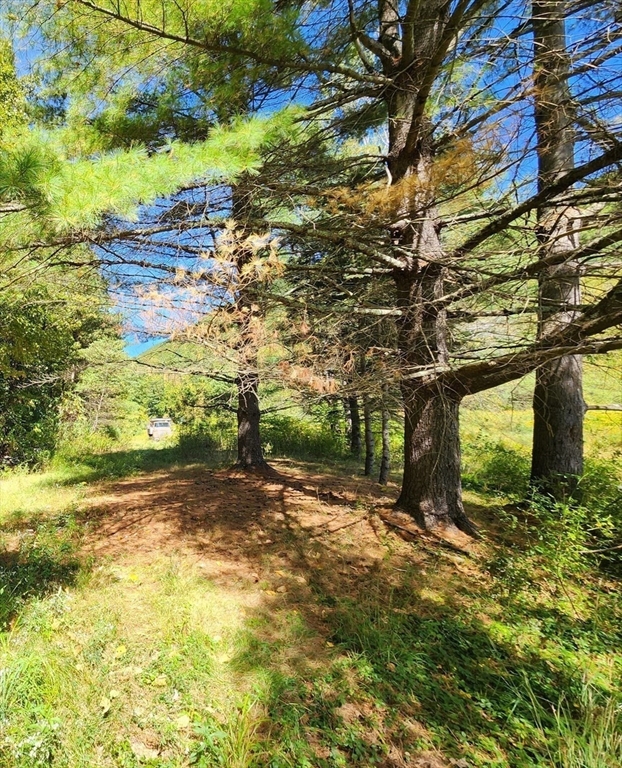 2151 Route 2 Charlemont, MA 01370 - Photo 13 of 25