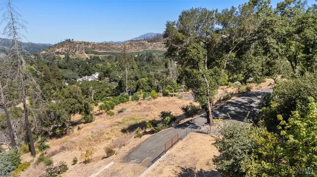 a view of a yard with a tree