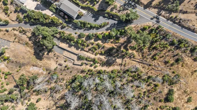 a view of a forest with mountains in the background
