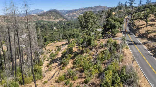 a view of mountains in middle of the green field