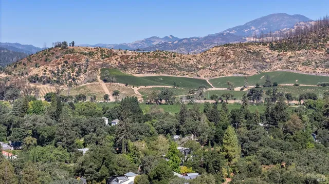 a view of a city with a mountain