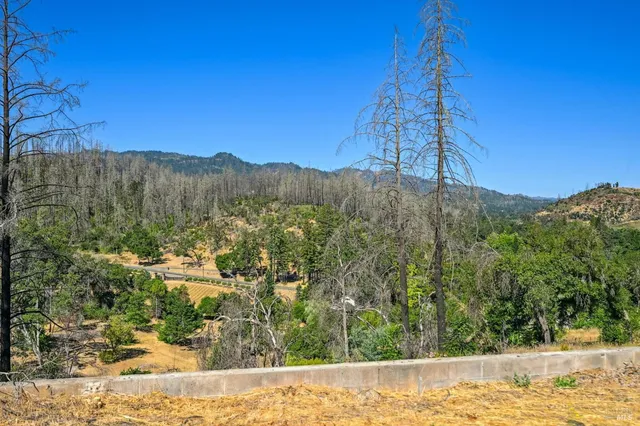 a view of a yard with a tree
