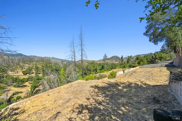 a view of a road from a yard