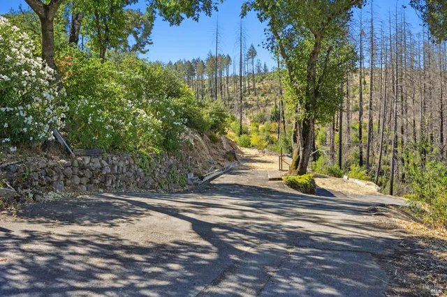 a view of a yard with yellow house