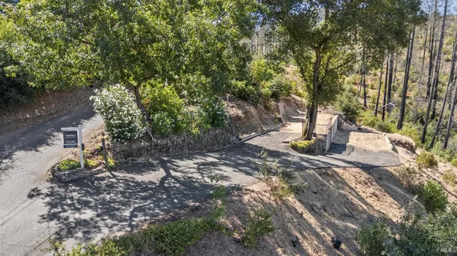 a view of yard with tree