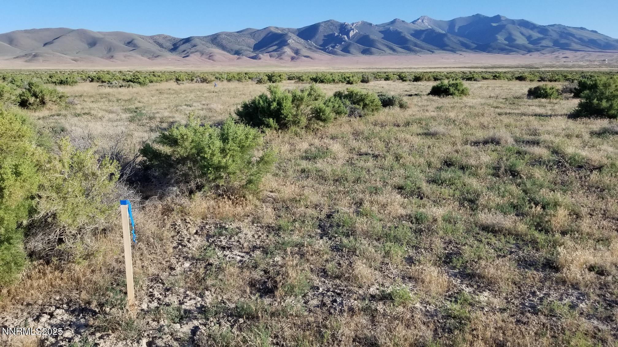 827021 East Star Peak Road Imlay, NV 89418 - Photo 6 of 7 a view of a lush green hillside and a mountain view