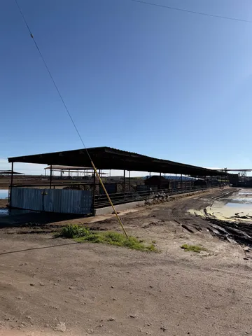 a view of a backyard of a house