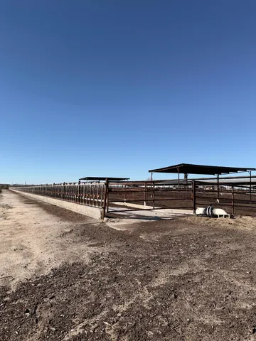 a view of a green field with lots of bushes