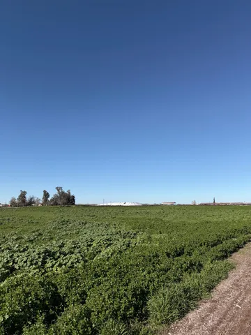 a view of a field with an ocean
