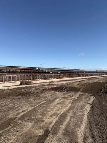 a view of a field with an ocean