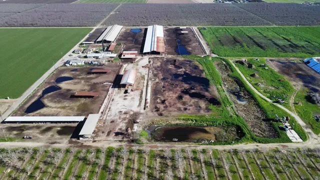 a view of building with yard