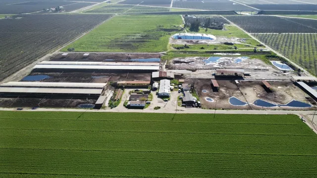 a view of swimming pool with a yard