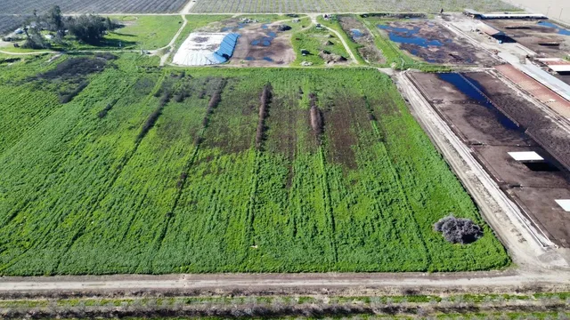 a view of a yard with an outdoor space