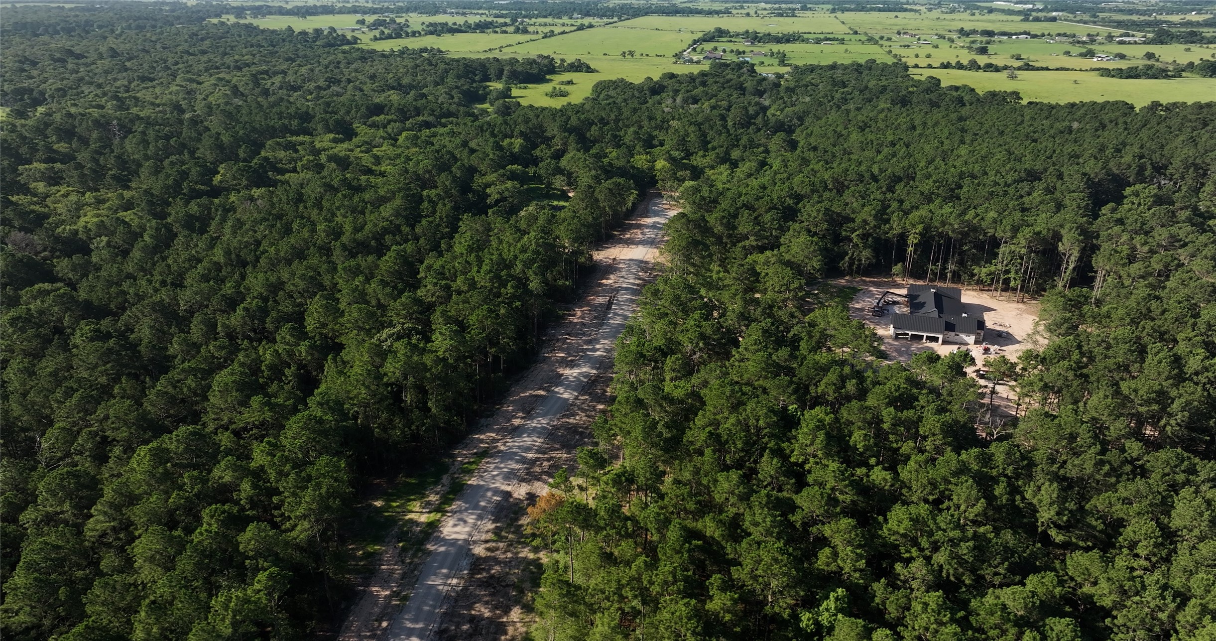 362 Rd Waller Tx 77484 Road Waller, TX 77484 - Photo 11 of 16 a view of a lush green forest with lots of trees