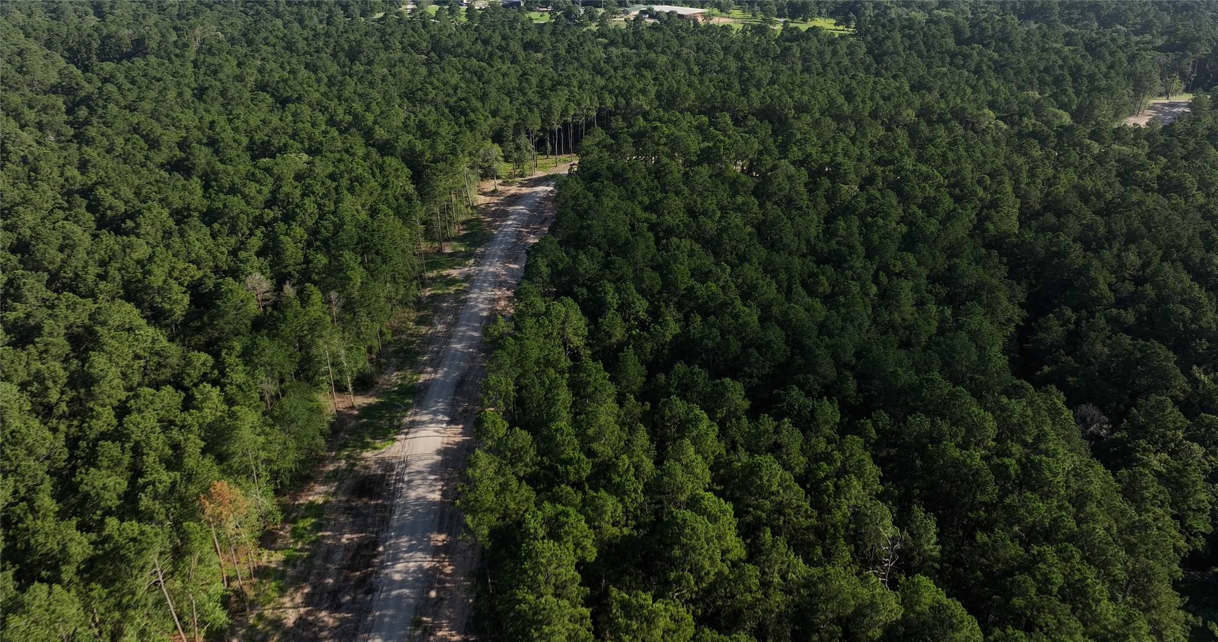 362 Rd Waller Tx 77484 Road Waller, TX 77484 - Photo 14 of 16 a view of a house with a lush green forest