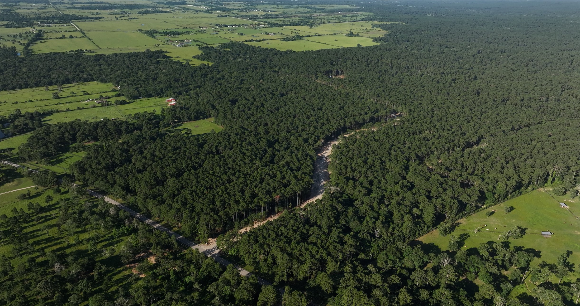 362 Rd Waller Tx 77484 Road Waller, TX 77484 - Photo 15 of 16
