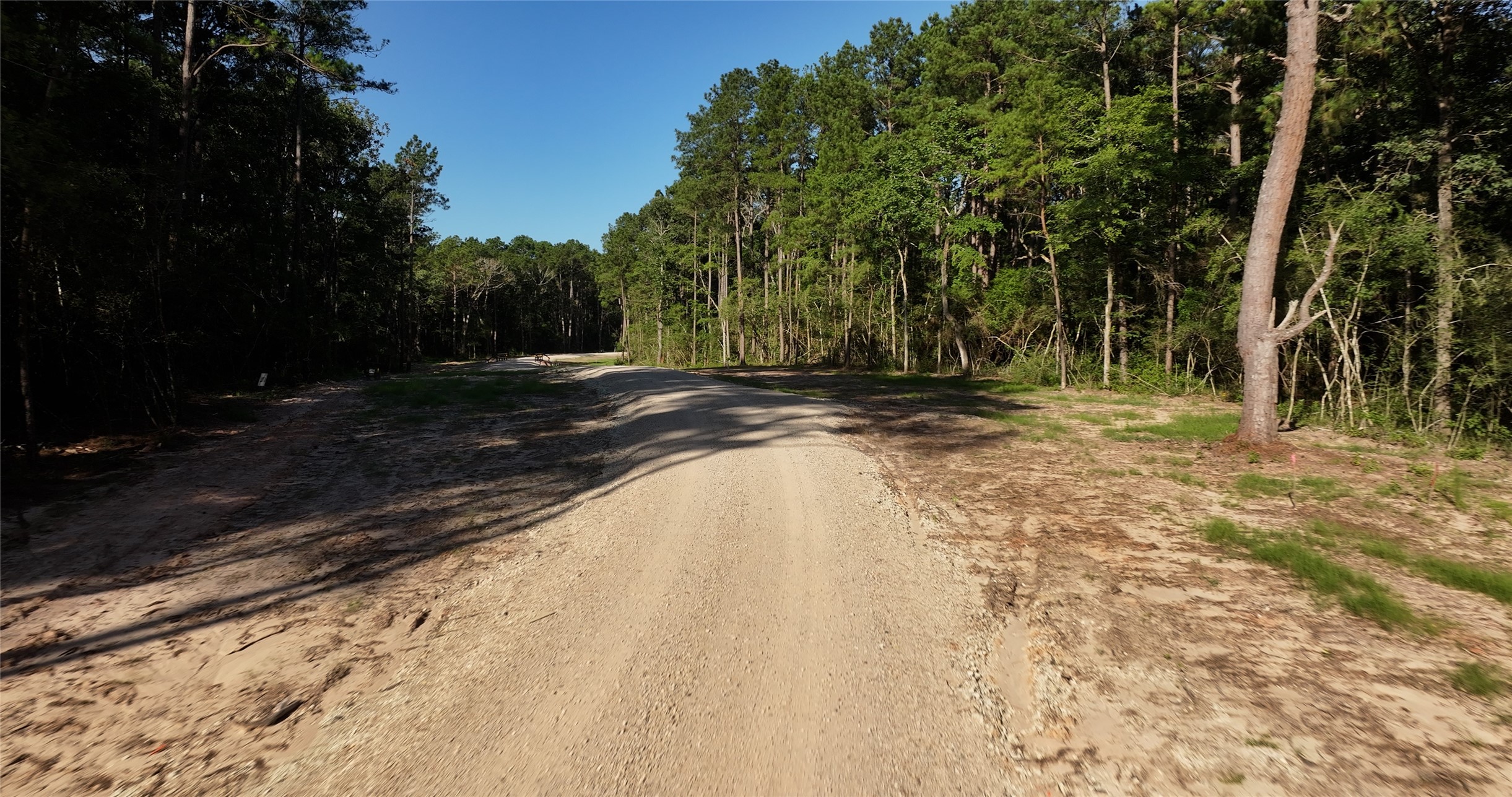 362 Rd Waller Tx 77484 Road Waller, TX 77484 - Photo 5 of 16 a view of a yard