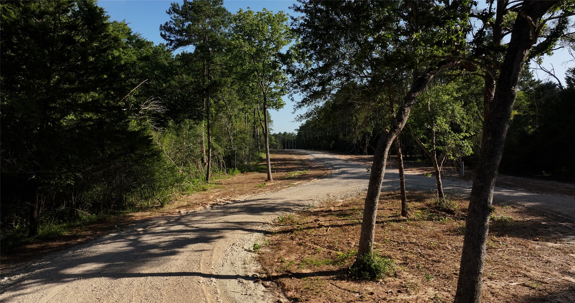362 Rd Waller Tx 77484 Road Waller, TX 77484 - Photo 6 of 16 a view of a forest