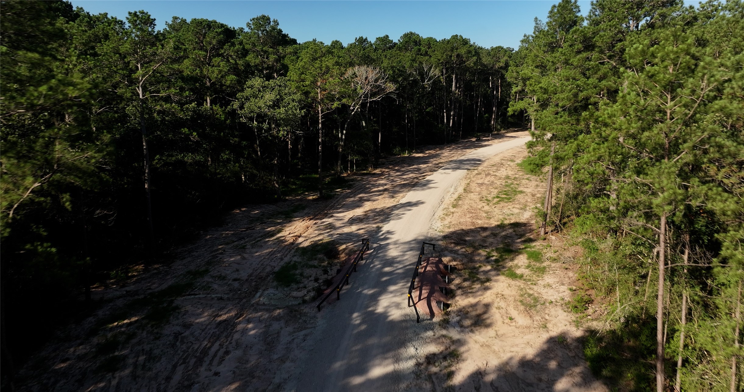 362 Rd Waller Tx 77484 Road Waller, TX 77484 - Photo 8 of 16 a view of a forest with a tree