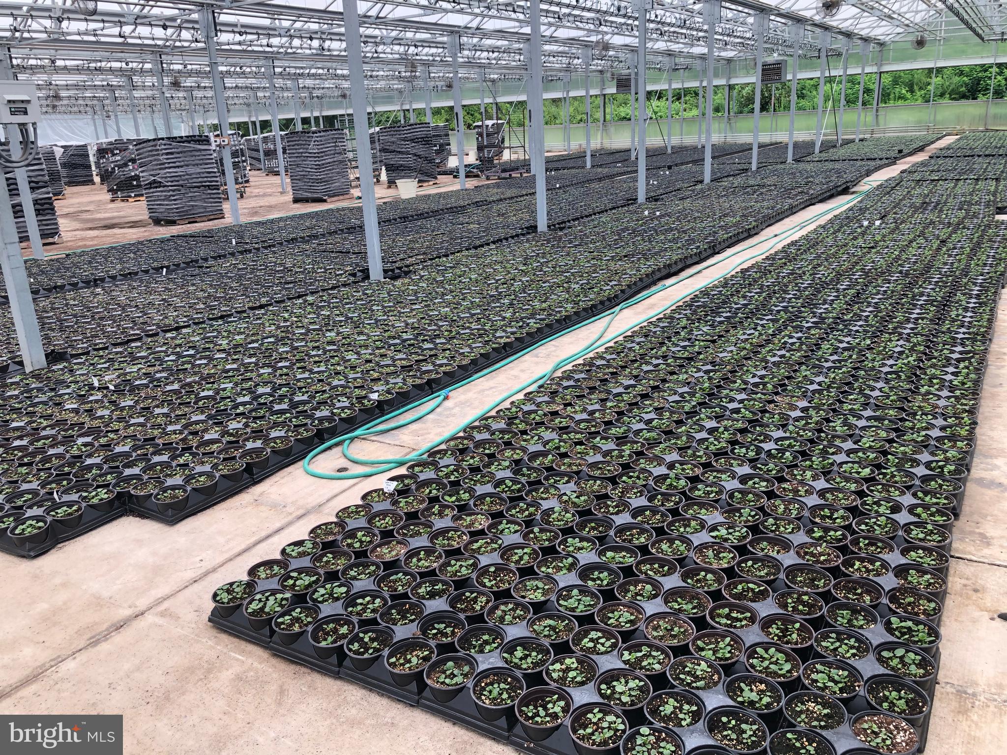 2730 Marker Road Middletown, MD 21769 - Photo 52 of 73