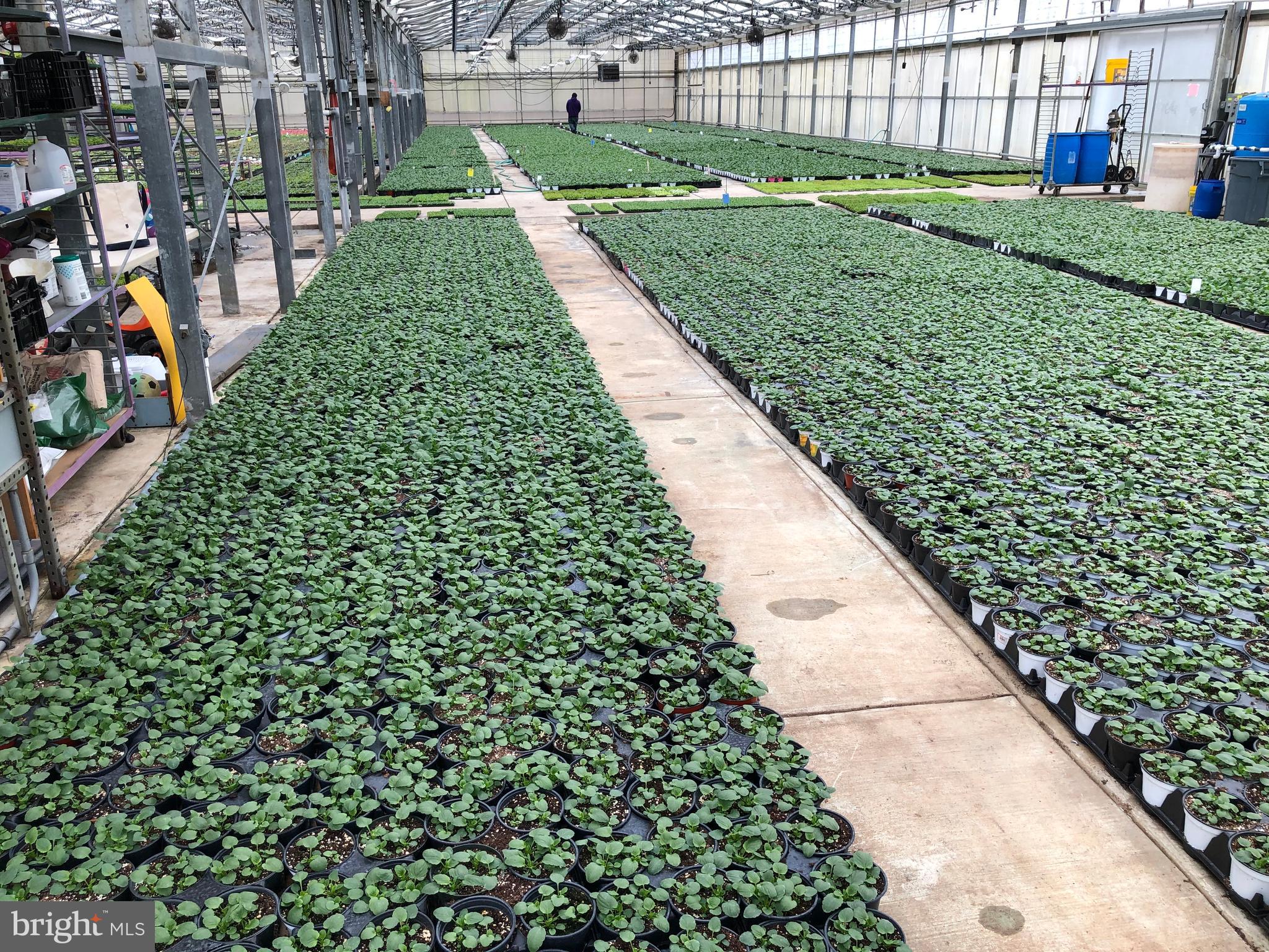 2730 Marker Road Middletown, MD 21769 - Photo 54 of 73 a view of a yard with plants