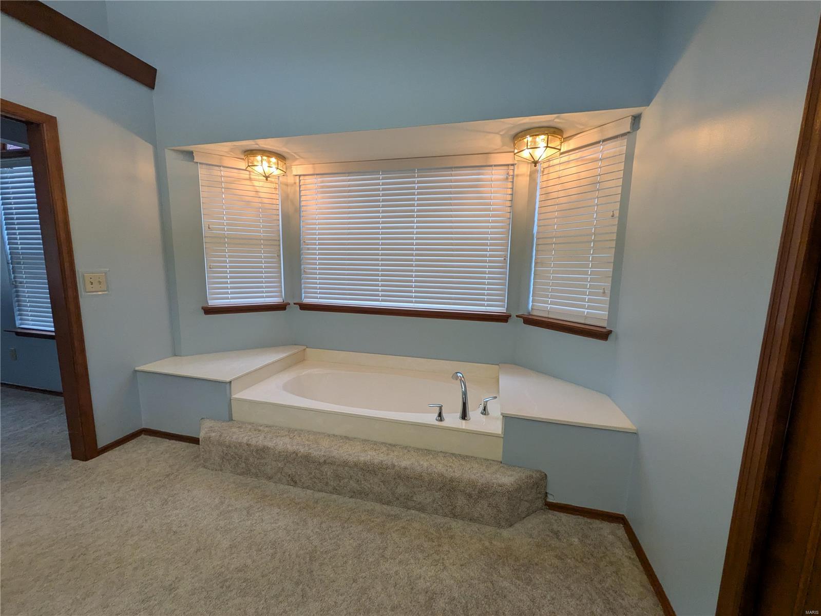 319 White Pine Drive St. Charles, MO 63304 - Photo 11 of 40