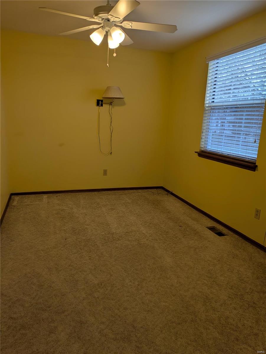 319 White Pine Drive St. Charles, MO 63304 - Photo 21 of 40