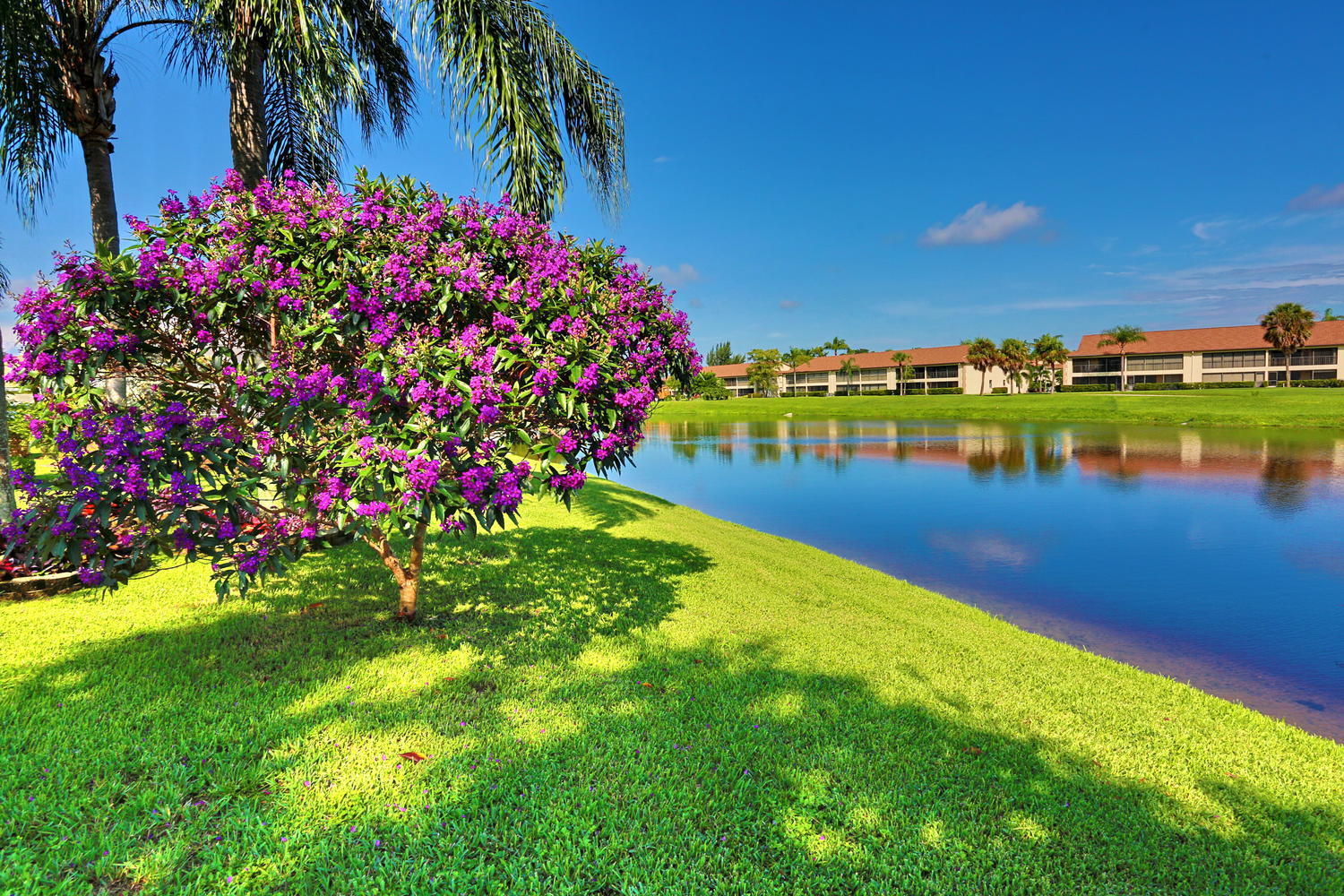127 Brier Circle Jupiter, FL 33458 - Photo 41 of 49 127 Brier Cir Jupiter FL 33458-large-036
