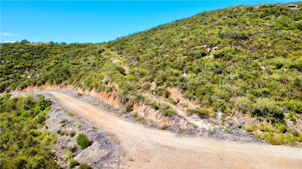 0 Sunset Peak Pala, CA 92059 - Photo 17 of 17 a view of a large yard with plants and trees