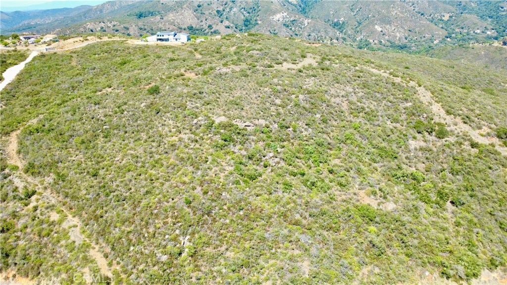 0 Sunset Peak Pala, CA 92059 - Photo 7 of 17 a close up of a plant with a plant